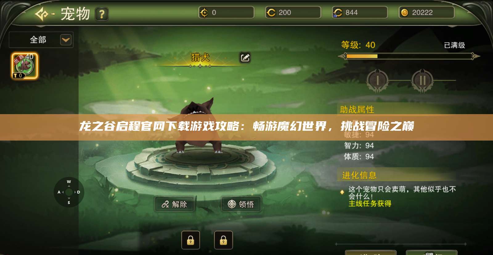 龙之谷启程官网下载游戏攻略：畅游魔幻世界，挑战冒险之巅