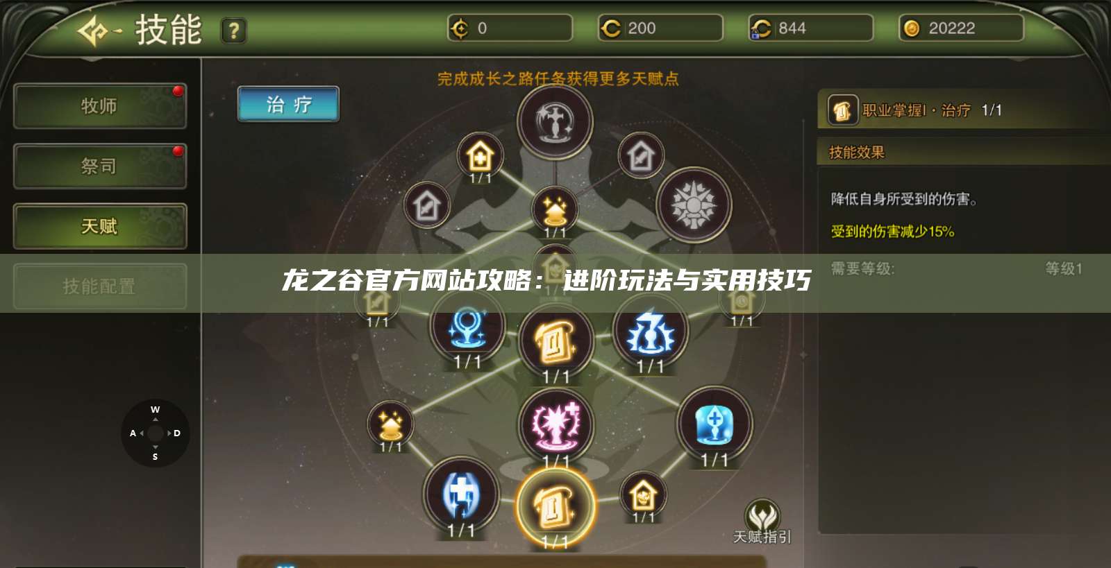 龙之谷官方网站攻略:进阶玩法与实用技巧