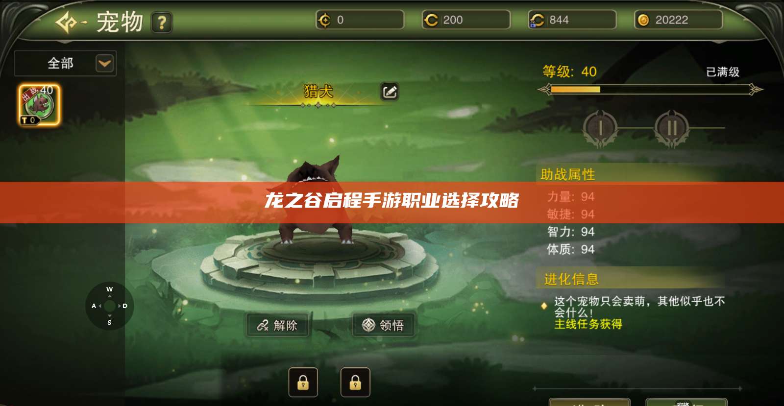 龙之谷启程手游职业选择攻略