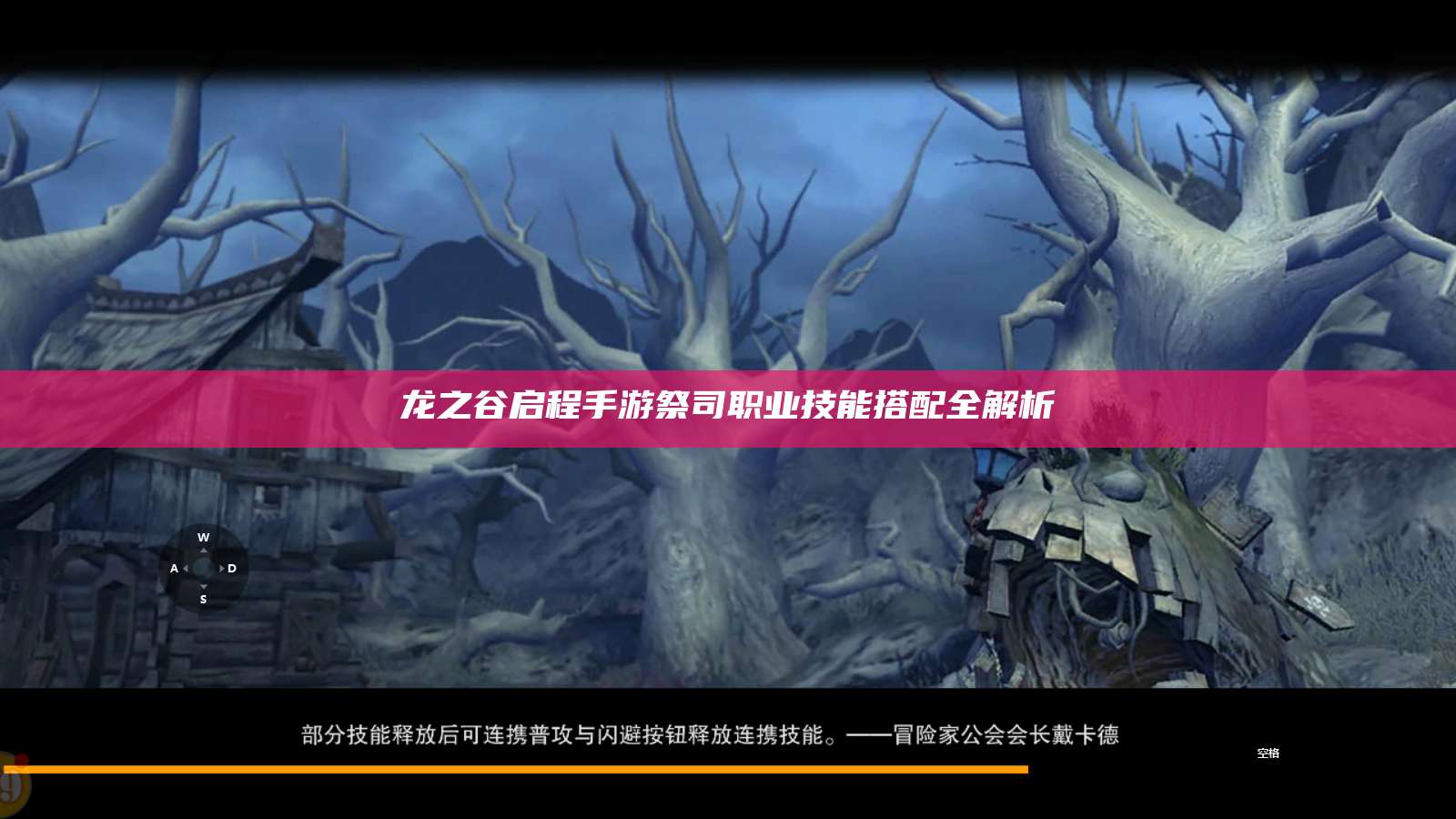 龙之谷启程手游祭司职业技能搭配全解析