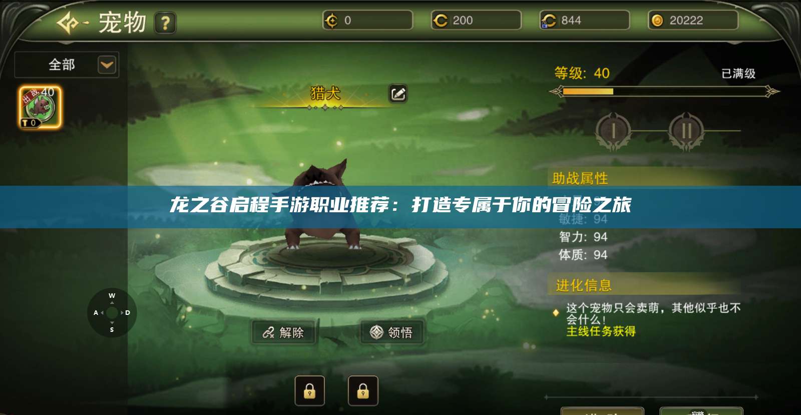 龙之谷启程手游职业推荐:打造专属于你的冒险之旅