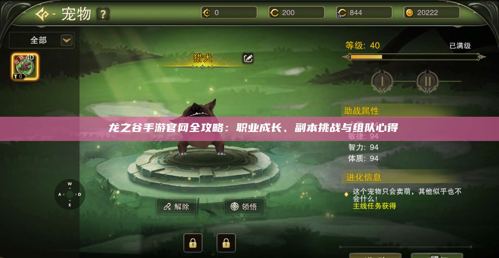  龙之谷手游官网全攻略：职业成长、副本挑战与组队心得