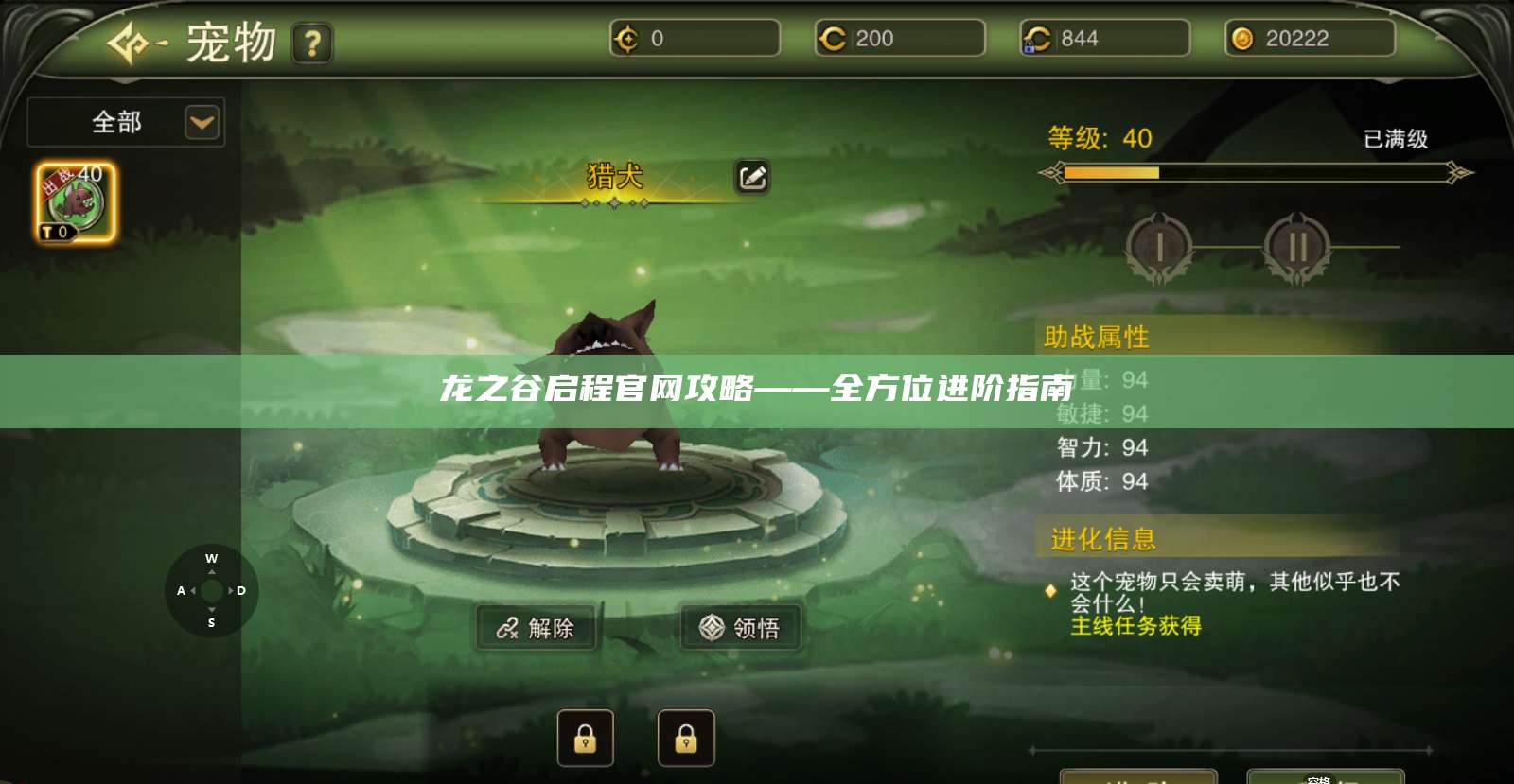 龙之谷启程官网攻略——全方位进阶指南