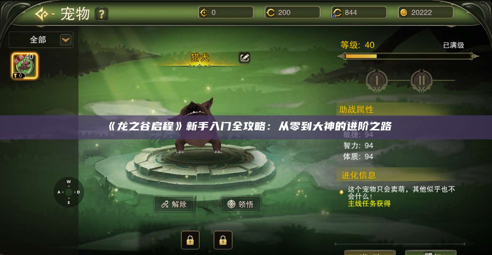 《龙之谷启程》新手入门全攻略:从零到大神的进阶之路